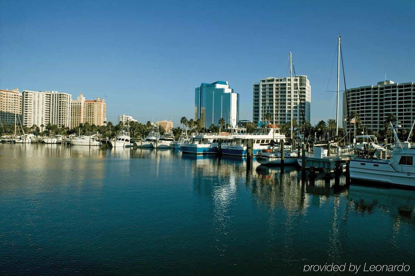 Hilton Garden Inn Sarasota-Bradenton Airport Bagian luar foto