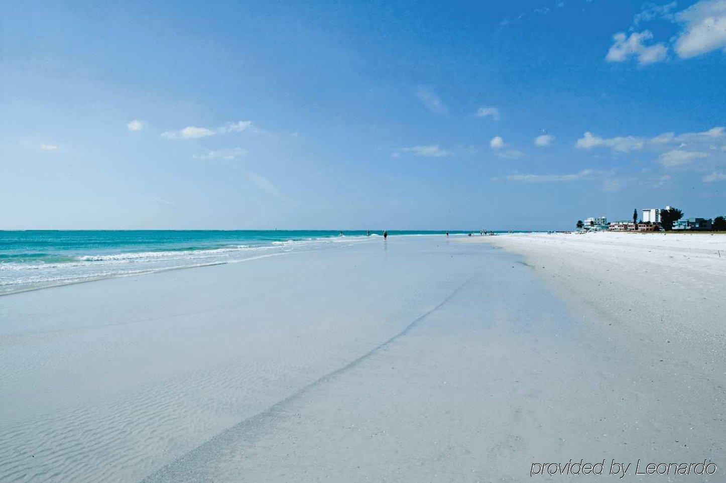 Hilton Garden Inn Sarasota-Bradenton Airport Bagian luar foto