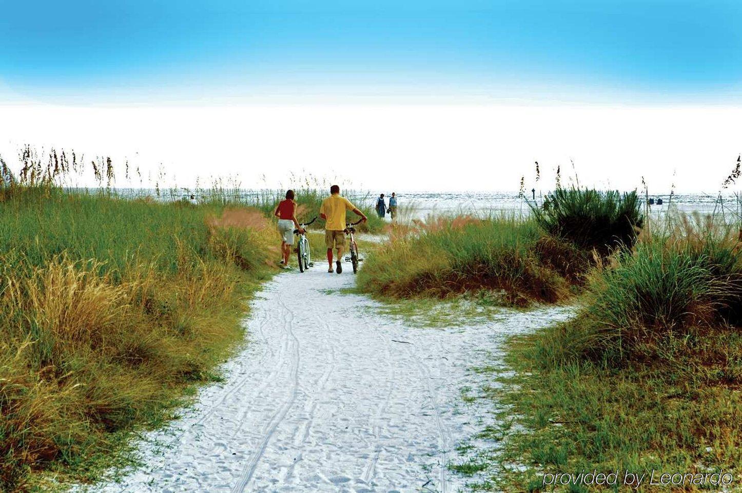 Hilton Garden Inn Sarasota-Bradenton Airport Bagian luar foto